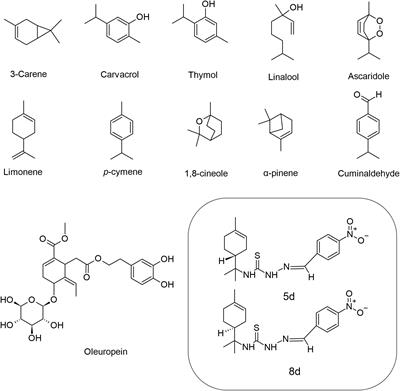 Exploring the leishmanicidal potential of terpenoids: a comprehensive review on mechanisms of cell death